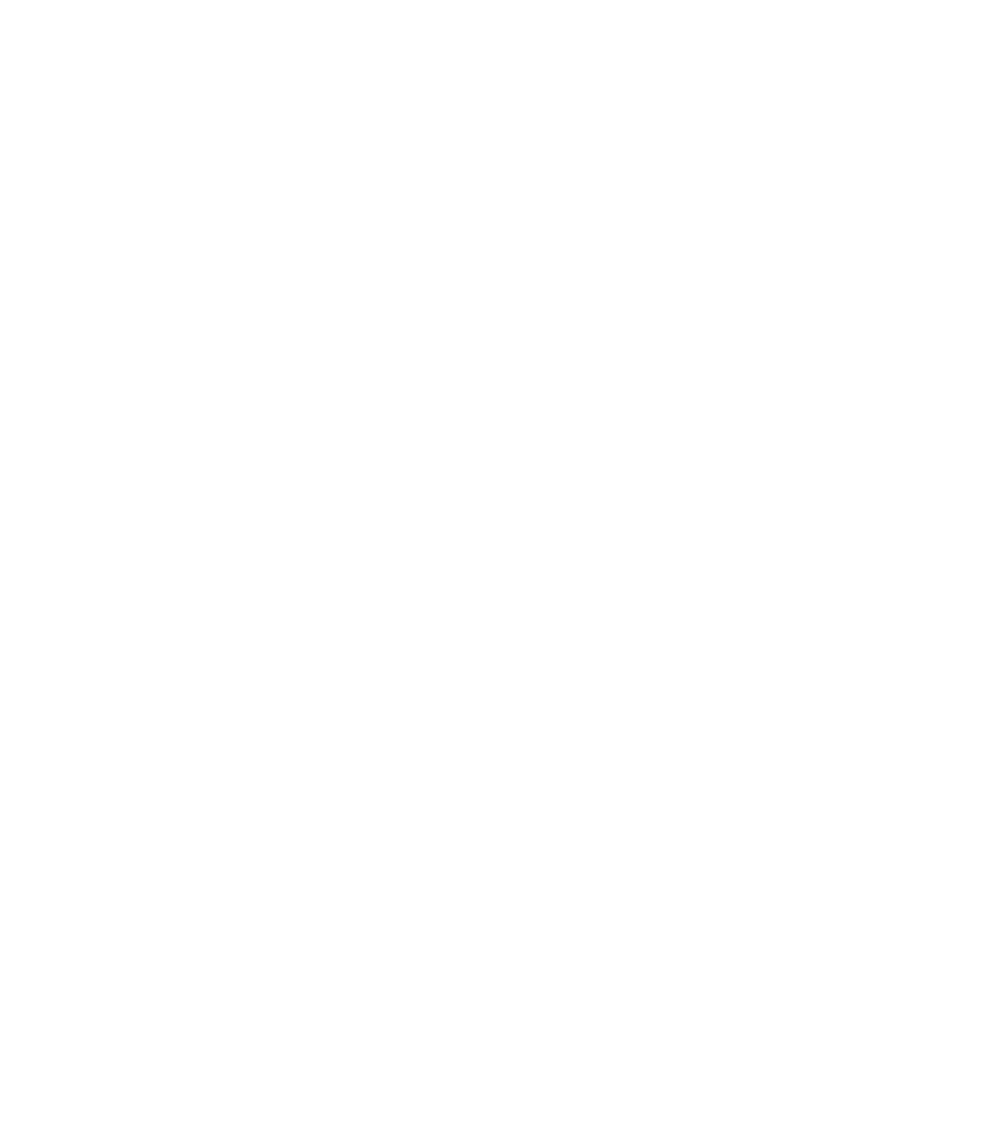 AISI Logo